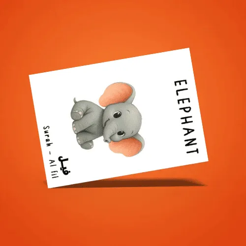 Animals of the Qur’an Flashcards for Kids